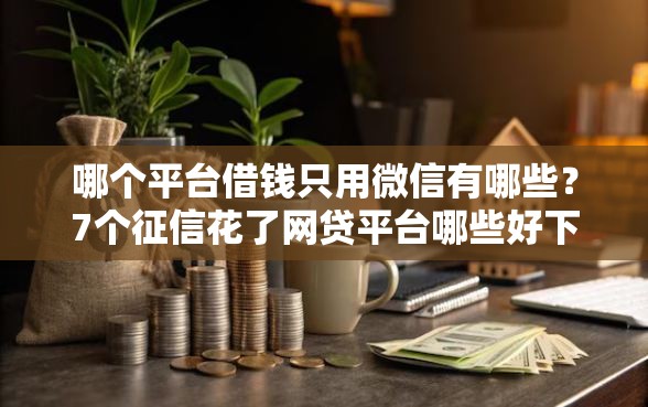哪个平台借钱只用微信有哪些？7个征信花了网贷平台哪些好下款推荐给你