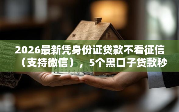 2026最新凭身份证贷款不看征信（支持微信），5个黑口子贷款秒过的口子无私分享