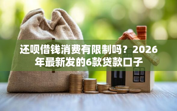 还呗借钱消费有限制吗？2026年最新发的6款贷款口子