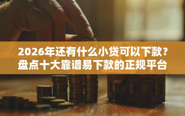 2026年还有什么小贷可以下款？盘点十大靠谱易下款的正规平台