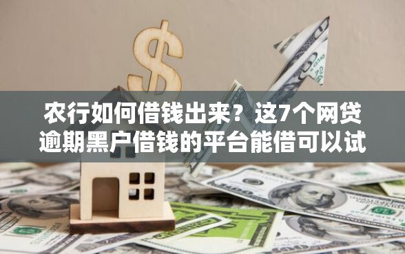农行如何借钱出来？这7个网贷逾期黑户借钱的平台能借可以试试