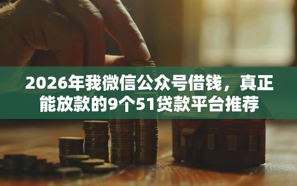 2026年我微信公众号借钱，真正能放款的9个51贷款平台推荐