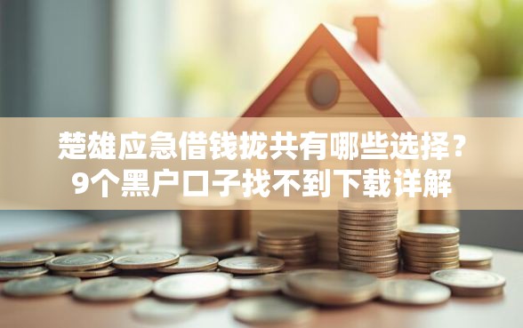楚雄应急借钱拢共有哪些选择？9个黑户口子找不到下载详解