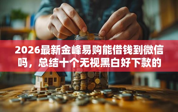 2026最新金峰易购能借钱到微信吗，总结十个无视黑白好下款的口子！