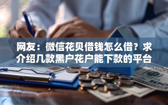 网友：微信花贝借钱怎么借？求介绍几款黑户花户能下款的平台