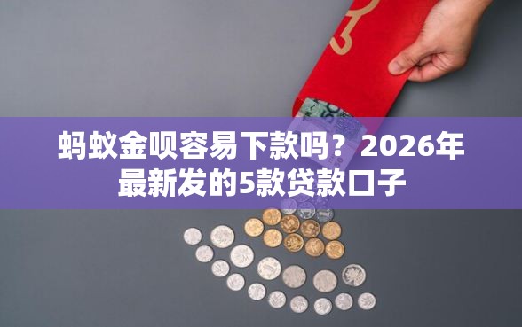 蚂蚁金呗容易下款吗？2026年最新发的5款贷款口子