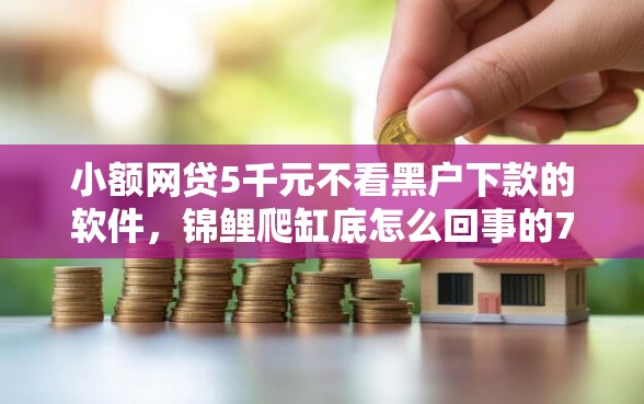 小额网贷5千元不看黑户下款的软件，锦鲤爬缸底怎么回事的7个平台介绍