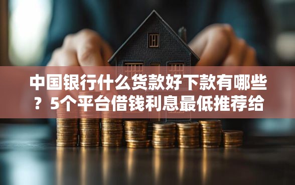 中国银行什么货款好下款有哪些？5个平台借钱利息最低推荐给你