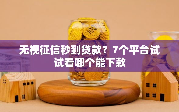 无视征信秒到贷款？7个平台试试看哪个能下款