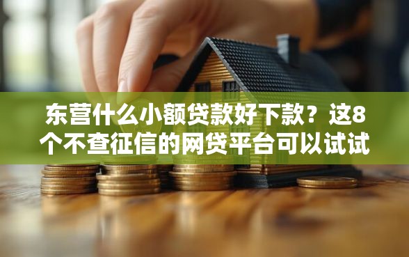 东营什么小额贷款好下款？这8个不查征信的网贷平台可以试试