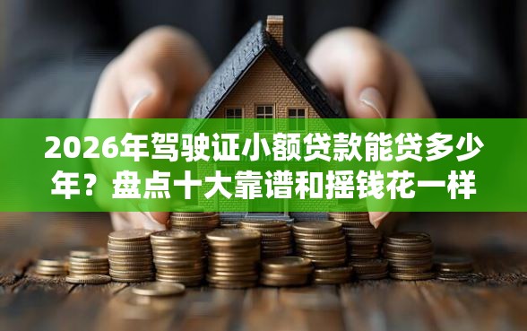 2026年驾驶证小额贷款能贷多少年？盘点十大靠谱和摇钱花一样的平台