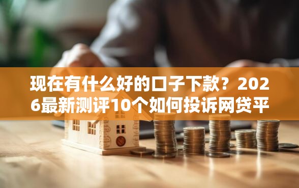 现在有什么好的口子下款？2026最新测评10个如何投诉网贷平台