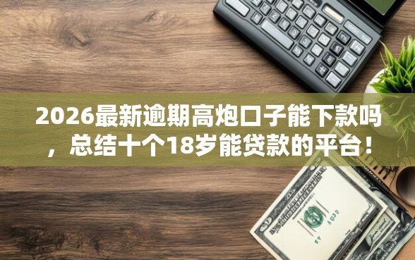 2026最新逾期高炮口子能下款吗，总结十个18岁能贷款的平台！