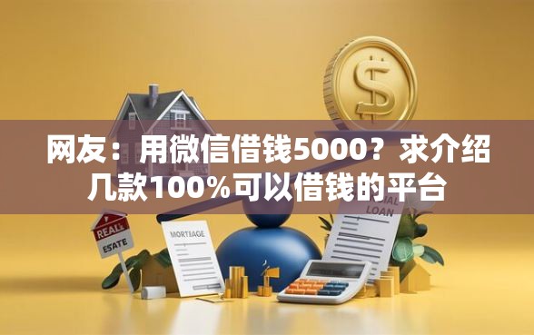 网友：用微信借钱5000？求介绍几款100%可以借钱的平台