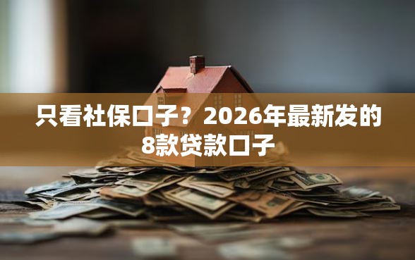 只看社保口子？2026年最新发的8款贷款口子