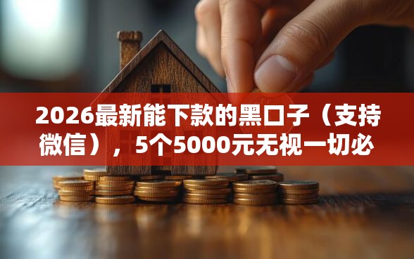 2026最新能下款的黑口子（支持微信），5个5000元无视一切必下款的口子无私分享
