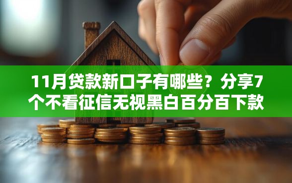 11月贷款新口子有哪些？分享7个不看征信无视黑白百分百下款网贷平台