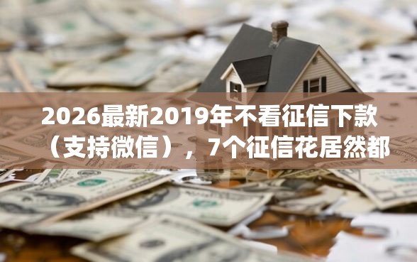 2026最新2019年不看征信下款（支持微信），7个征信花居然都下款了的app无私分享