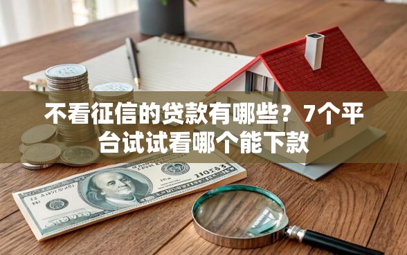 不看征信的贷款有哪些？7个平台试试看哪个能下款