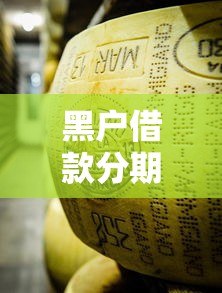 黑户借款分期的话，可以看看这7个黑户平台能借款