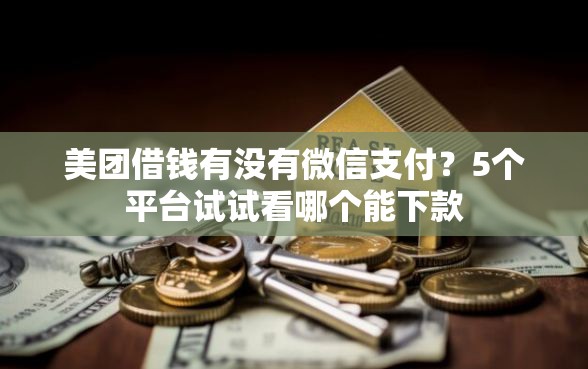 美团借钱有没有微信支付？5个平台试试看哪个能下款