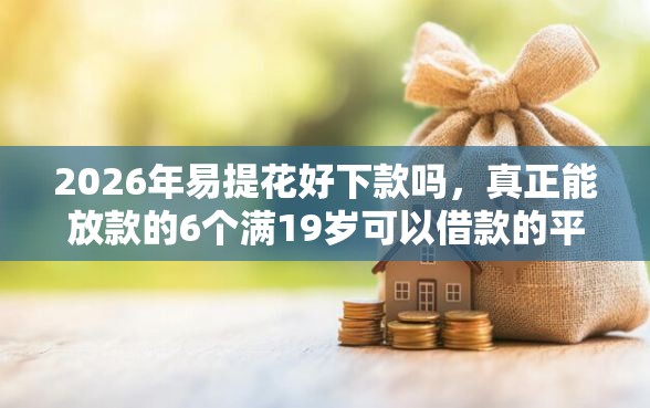 2026年易提花好下款吗，真正能放款的6个满19岁可以借款的平台推荐