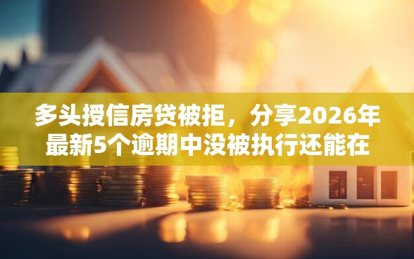 多头授信房贷被拒，分享2026年最新5个逾期中没被执行还能在平台借钱