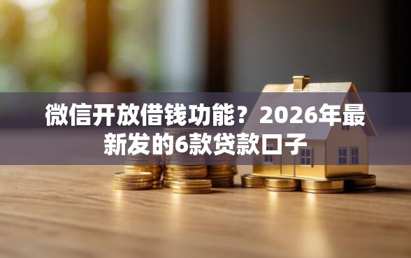 微信开放借钱功能？2026年最新发的6款贷款口子