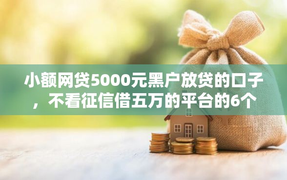 小额网贷5000元黑户放贷的口子，不看征信借五万的平台的6个平台介绍