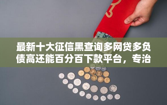 最新十大征信黑查询多网贷多负债高还能百分百下款平台，专治58同城借钱好下款吗
