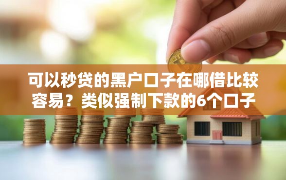 可以秒贷的黑户口子在哪借比较容易？类似强制下款的6个口子参考