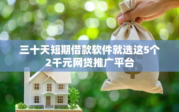 三十天短期借款软件就选这5个2千元网贷推广平台