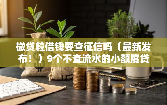 微贷粒借钱要查征信吗（最新发布！）9个不查流水的小额度贷款平台