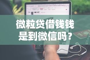 微粒贷借钱钱是到微信吗？分享7个类似高炮口子的平台