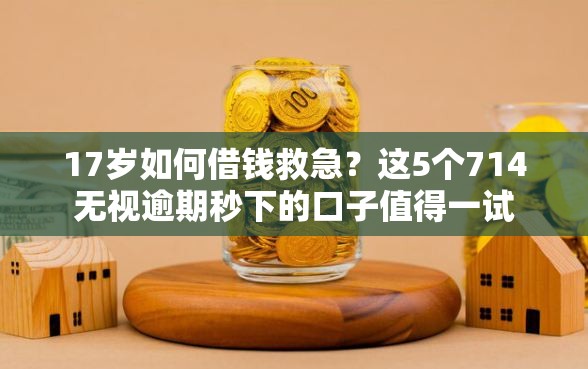 17岁如何借钱救急？这5个714无视逾期秒下的口子值得一试
