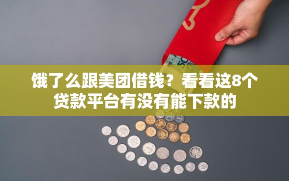 饿了么跟美团借钱？看看这8个贷款平台有没有能下款的