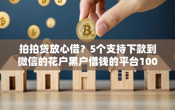 拍拍贷放心借？5个支持下款到微信的花户黑户借钱的平台100%能借到