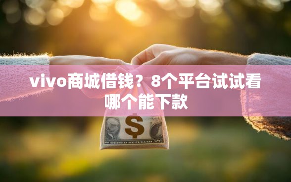 vivo商城借钱？8个平台试试看哪个能下款