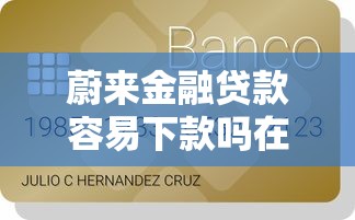 蔚来金融贷款容易下款吗在哪借比较容易？类似强制下款的7个口子参考
