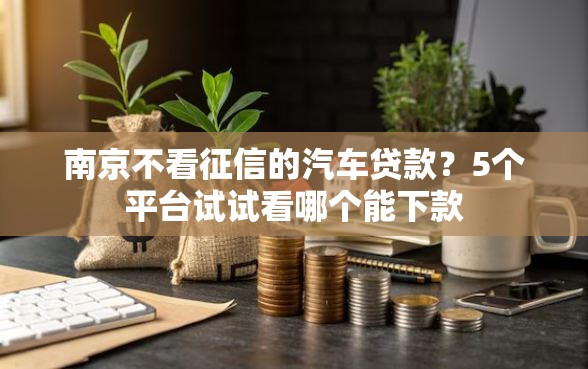 南京不看征信的汽车贷款？5个平台试试看哪个能下款
