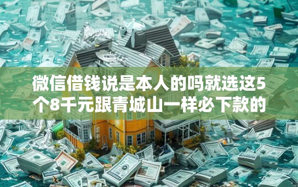 微信借钱说是本人的吗就选这5个8千元跟青城山一样必下款的口子