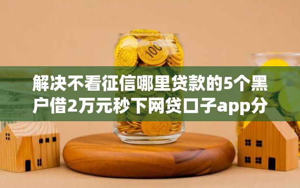 解决不看征信哪里贷款的5个黑户借2万元秒下网贷口子app分享