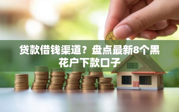 贷款借钱渠道？盘点最新8个黑花户下款口子