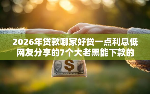 2026年贷款哪家好贷一点利息低网友分享的7个大老黑能下款的口子我觉得不错！