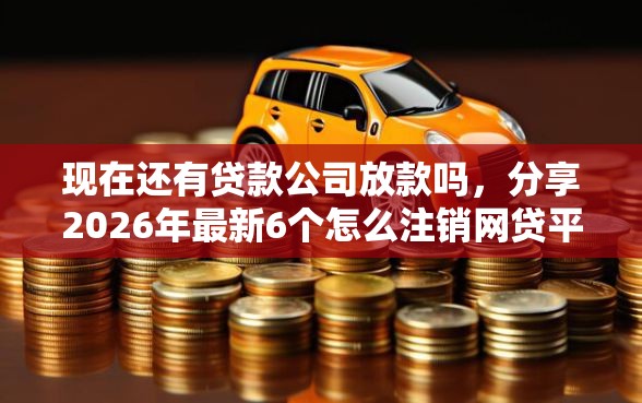 现在还有贷款公司放款吗，分享2026年最新6个怎么注销网贷平台的账号