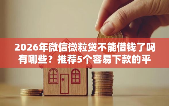 2026年微信微粒贷不能借钱了吗有哪些？推荐5个容易下款的平台
