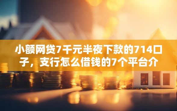 小额网贷7千元半夜下款的714口子，支行怎么借钱的7个平台介绍