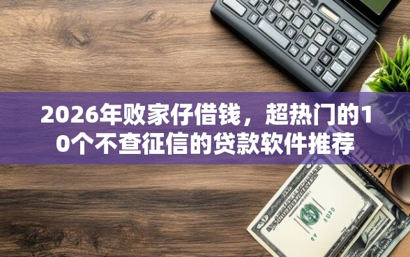 2026年败家仔借钱，超热门的10个不查征信的贷款软件推荐