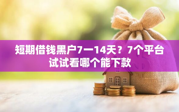 短期借钱黑户7一14天？7个平台试试看哪个能下款