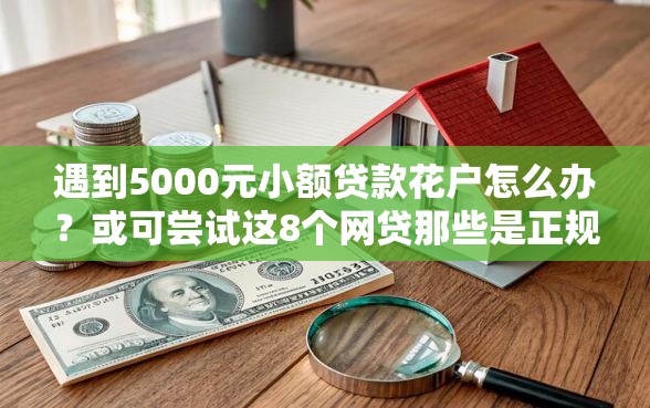 遇到5000元小额贷款花户怎么办？或可尝试这8个网贷那些是正规平台